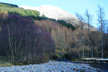 frozen lake in winter forest
