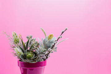 Pink pot of greens on pink background