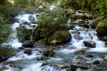 Fototapeta na wymiar Waterfall in Fern Forest