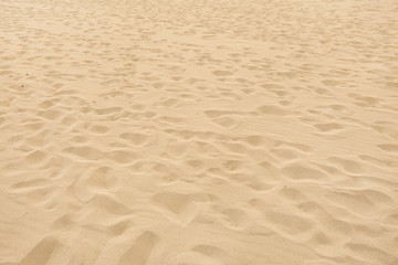 Fototapeta na wymiar Soft sand beach with many disappearing footprints.