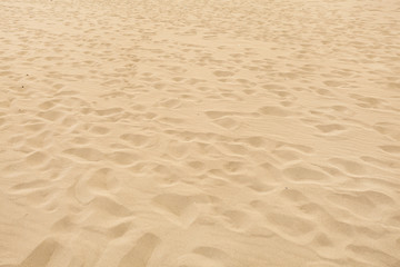 Soft sand beach  with many disappearing footprints.