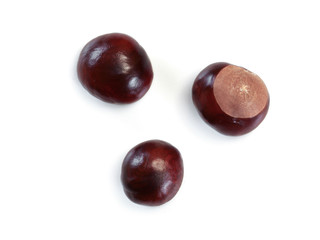 Overhead photo, three horse chestnuts isolated on white background.