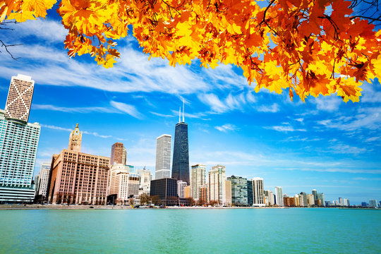 View on waterfront with autumn leaves Chicago