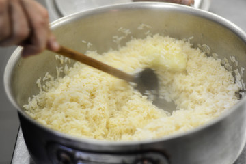 rice, grain, white, uncooked, harvest, white rice, organic, thai rice, diet, yellow, staple food, planting, slender rice, millet, silk seedling rice, thailand, long grain rice, full screen, healthy, r