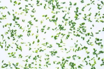 Green onions isolated on white