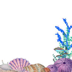 Hand drawn frame in watercolor sea world natural element. Corals shells fish frame border on white background