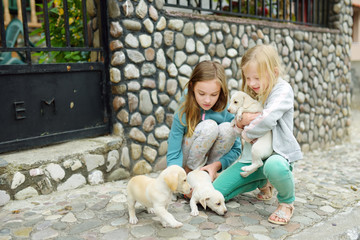 Two cute young sisters holding small white puppies outdoors. Kids playing with baby dogs on summer day.