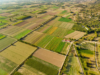 Abstract geometric shapes of agricultural parcels of different crops in green and yellow colors....