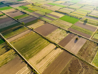 Abstract geometric shapes of agricultural parcels of different crops in green and yellow colors. Aerial top down view of farmlands in Peloponnese, Greece.