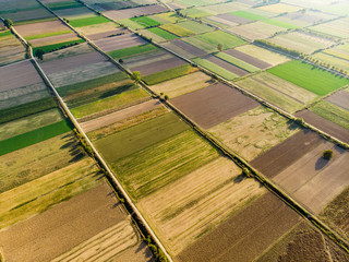 Abstract geometric shapes of agricultural parcels of different crops in green and yellow colors. Aerial top down view of farmlands in Peloponnese, Greece.