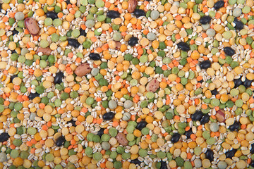 Top view flat lay dry bean soup mix.