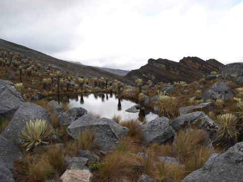 Laguna cercana al pico monta&ntilde;oso de Ritacuba Blanco en el Parque Nacional Natural El Cocuy el 2 de julio de 2009