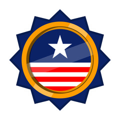 Medal with flag of USA. Vector illustration design
