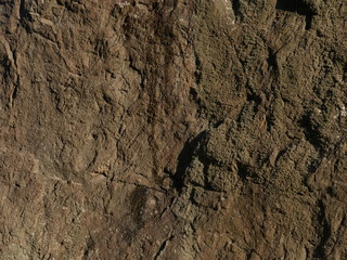 texture of stone