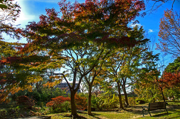 Naklejka premium ベンチのある秋の風景