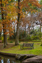秋・水辺のベンチと紅葉する針葉樹