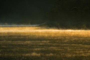 気嵐に包まれた朝の千丈寺湖の情景