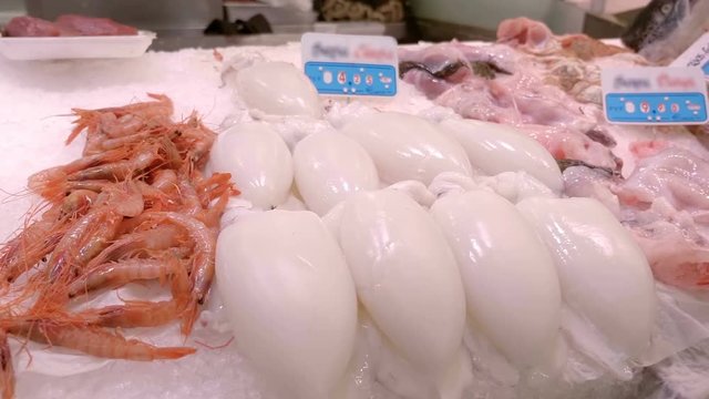 Large selection of fresh, chilled seafood - fish, shellfish, crustaceans - on the shelves with ice in the city market of Valencia, Spain. Shot in motion