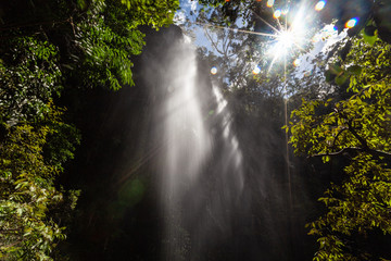 Sunshine and sun flare shining through amazing waterfall in the jungle