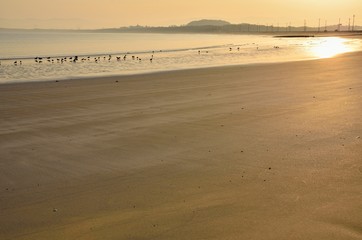 朝のビーチ