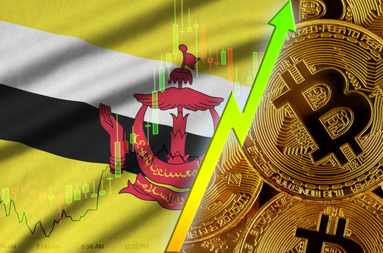 Brunei Darussalam flag and cryptocurrency growing trend with many golden bitcoins - Powered by Adobe