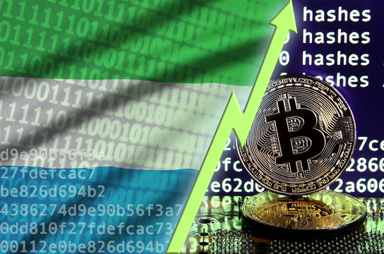 Sierra Leone Flag And Rising Green Arrow On Bitcoin Mining Screen And Two Physical Golden Bitcoins