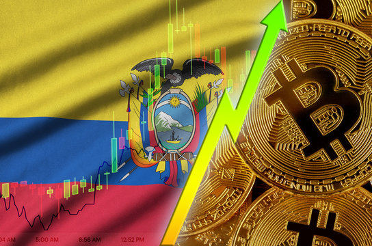 Ecuador flag and cryptocurrency growing trend with many golden bitcoins