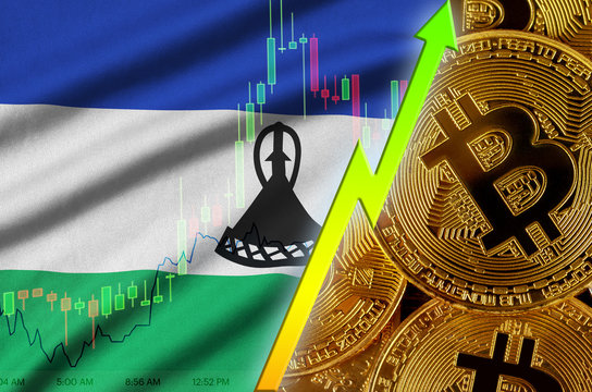 Lesotho flag and cryptocurrency growing trend with many golden bitcoins