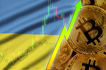 Ukraine flag and cryptocurrency growing trend with many golden bitcoins