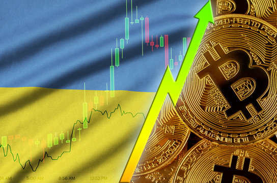 Ukraine flag and cryptocurrency growing trend with many golden bitcoins