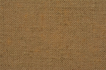 Fabric texture