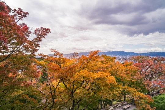 Autumn forest at Kiyomizu-dera buddhist temple, Kyoto, Japan.