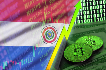 Paraguay flag and cryptocurrency growing trend with two bitcoins on dollar bills and binary code display