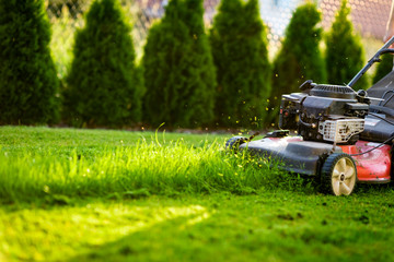 Lawn mower cutting green grass