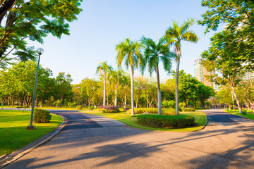 Green city public park