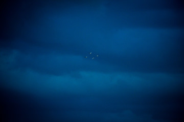 The migration of four.