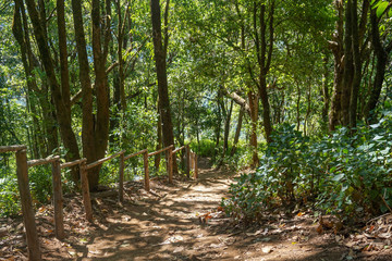 View Sea mountain in doiphuiko,maehongson , Thailand