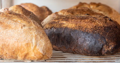 close up rye bread on a cooling rack