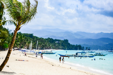 Palm tree on a Bokeh seaside background