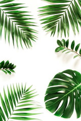 Fototapeta na wymiar tropical green palm branches pattern frame on a white background. top view.copy space.abstract.