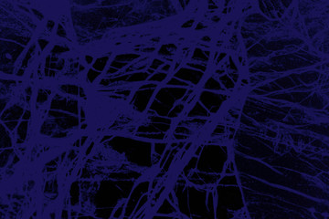 Digitally manipulated, abstract micrograph of olivine pyroxenite with polarization.