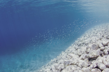 Fototapeta na wymiar Underwater photograph of small fish swimming over rocks in clear bright blue sea.