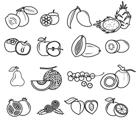 fruit icon set vector draw outline, coloring on white background