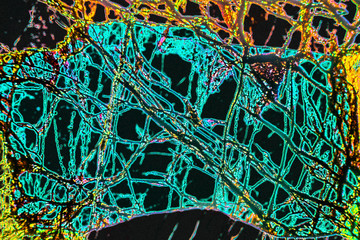 Digitally manipulated, abstract micrograph of olivine pyroxenite with polarization.