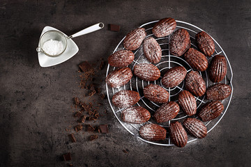 Chocolate cookies. Homemade Chocolate Madeleines on dark table. French cuisine. Top view