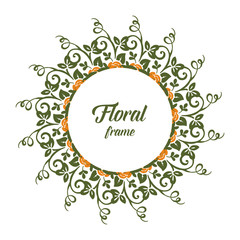 Vector illustration shape ornate rose flower frames