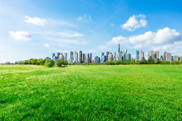 Fototapeta na wymiar Shanghai city skyline and green grass under the blue sky,China