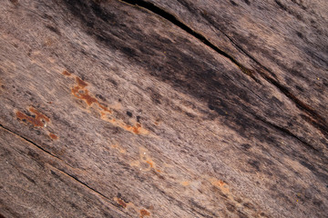 wood texture background