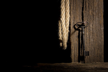 Old key on a log