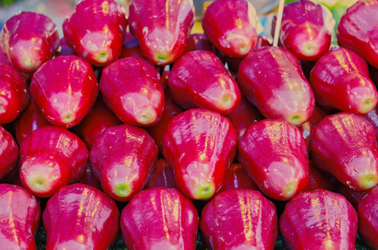 Close up of Fresh Thai rose apple is Semarang rose-apple, Wax jambu, Java apple (Syzygium samarangense) is edible tropical fruit look likes small pear in reddish skin in texture pattern background